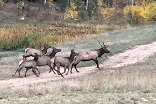 60 N Co Hwy 67, Sedalia, CO 80135 - Photo 41