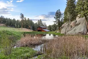 60 N Co Hwy 67, Sedalia, CO 80135 - Photo 31