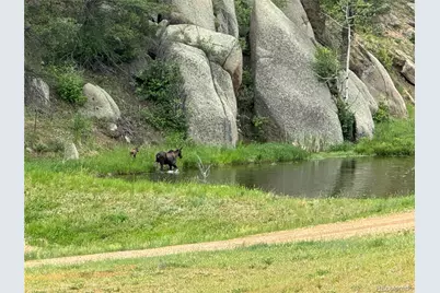 60 N County Highway 67, Sedalia, CO 80135 - Photo 29