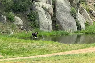 60 N Co Hwy 67, Sedalia, CO 80135 - Photo 29