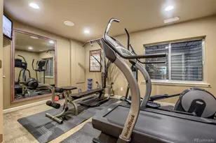 4969 Golden Valley Trail, Castle Rock, CO 80109 - Photo 23