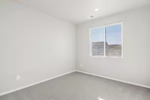 1625 Yampa River Dr, Windsor, CO 80550 - Photo 21