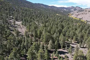 30101 County Rd 46AA, Villa Grove, CO 81155 - Photo 29