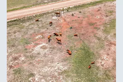 3501 County Road 106, Elizabeth, CO 80107 - Photo 15