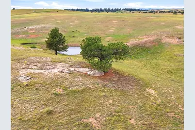 3501 County Road 106, Elizabeth, CO 80107 - Photo 11