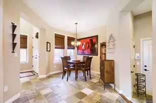 9309 Viaggio Way, Highlands Ranch, CO 80126 - Photo 7