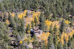 719 Miners Candle Rd, Idaho Springs, CO 80452 - Photo 3