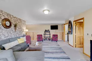 182 Spruce Trail, Bailey, CO 80421 - Photo 23