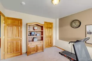 182 Spruce Trail, Bailey, CO 80421 - Photo 25