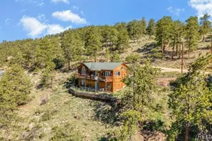 182 Spruce Trail, Bailey, CO 80421 - Photo 31