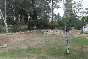 1350 Woodmoor Dr, Monument, CO 80132 - Photo 39