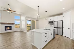 6669 Zebra Grass Ln, Parker, CO 80138 - Photo 5