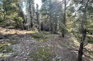 12282 Hosman Ct, Conifer, CO 80433 - Photo 1