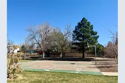 978 Oakwood Drive, Castle Rock, CO 80104 - Photo 27