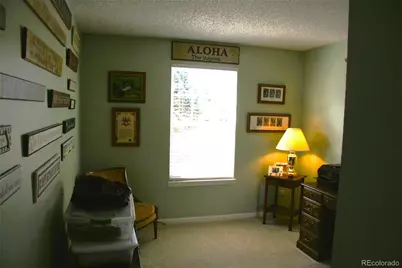 16196 E Progress Place, Centennial, CO 80015 - Photo 21