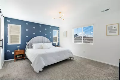 6436 Vista Cliff Loop, Castle Rock, CO 80104 - Photo 29