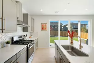 6436 Vista Cliff Loop, Castle Rock, CO 80104 - Photo 19