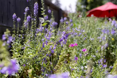 1759 Olive Street, Denver, CO 80220 - Photo 31