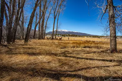 29571 County Road 350A, Buena Vista, CO 81211 - Photo 13