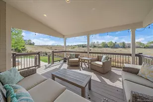 10579 Redcone Way, Highlands Ranch, CO 80130 - Photo 41