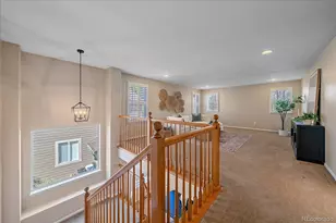 10579 Redcone Way, Highlands Ranch, CO 80130 - Photo 23