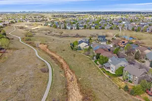 10579 Redcone Way, Highlands Ranch, CO 80130 - Photo 47