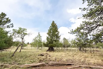 355 Oahu Road, Buena Vista, CO 81211 - Photo 47