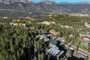 290 N Fuller Placer Rd, Breckenridge, CO 80424 - Photo 43