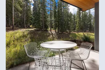 290 N Fuller Placer Road, Breckenridge, CO 80424 - Photo 39