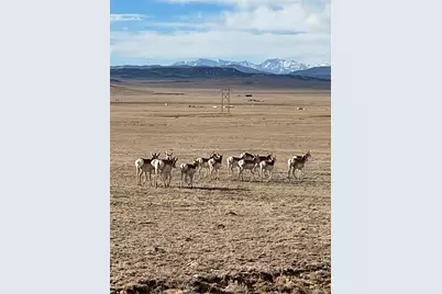 6251 Summit Road, Lake George, CO 80827 - Photo 31