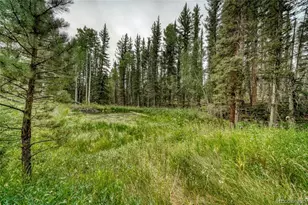 5544 County Road 5 Rd, Divide, CO 80814 - Photo 43