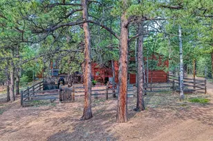 5544 County Road 5 Rd, Divide, CO 80814 - Photo 3