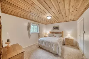 5544 County Road 5 Rd, Divide, CO 80814 - Photo 21