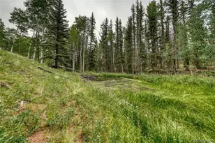 5544 County Road 5 Rd, Divide, CO 80814 - Photo 49