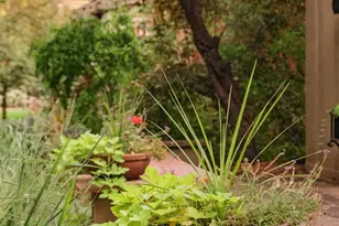 2057 Clermont St, Denver, CO 80207 - Photo 7