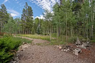 591 Creekwood Trail, Black Hawk, CO 80422 - Photo 39