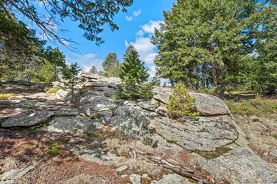 6351 Canyon Creek Road, Evergreen, CO 80439 - Photo 7