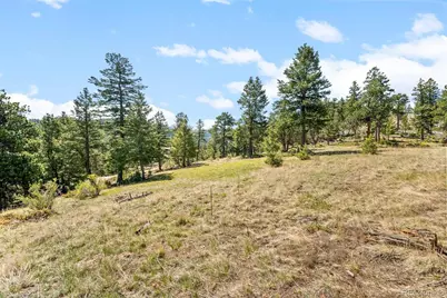 6351 Canyon Creek Road, Evergreen, CO 80439 - Photo 5