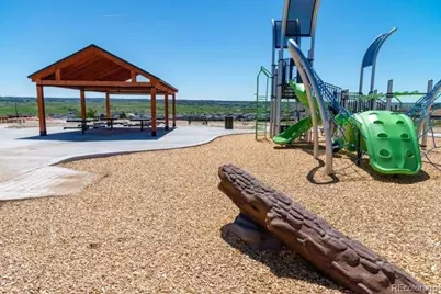 13708 Daffodil Point, Parker, CO 80134 - Photo 33