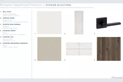 1420 Deherder Drive, Castle Rock, CO 80104 - Photo 3