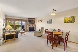 89410 Ryan Gulch Rd, Silverthorne, CO 80498 - Photo 5