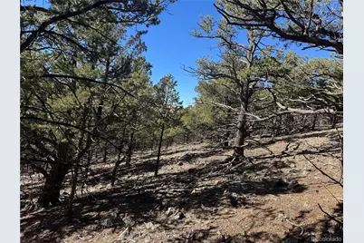 0 G Path, Cotopaxi, CO 81223 - Photo 15