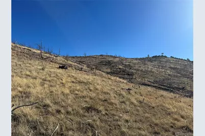 0 G Path, Cotopaxi, CO 81223 - Photo 39