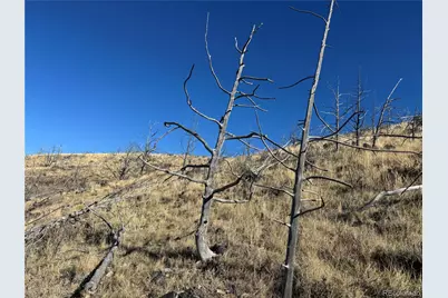 0 G Path, Cotopaxi, CO 81223 - Photo 35