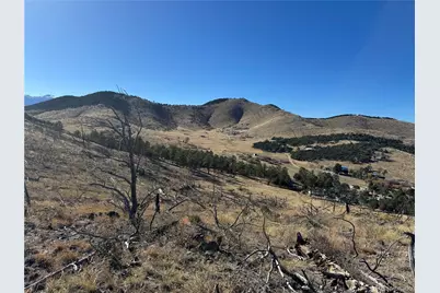 0 G Path, Cotopaxi, CO 81223 - Photo 31