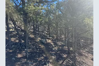 0 G Path, Cotopaxi, CO 81223 - Photo 11