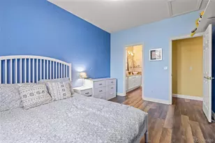 10899 Bobcat Terrace, Lone Tree, CO 80124 - Photo 31