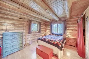 649 Co Rd 21, Leadville, CO 80461 - Photo 19