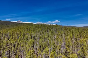 649 Co Rd 21, Leadville, CO 80461 - Photo 7