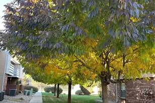 3322 S Ammons St, Lakewood, CO 80227 - Photo 21